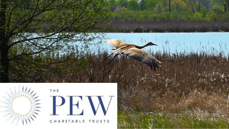 PewCharitableTrustNewsThumbnail800x450-min.jpg