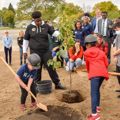 two children planting a small tree