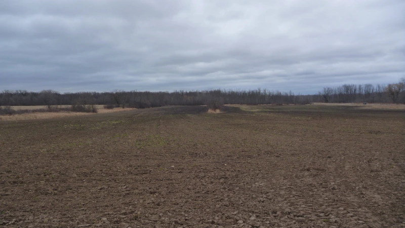 field in wisconsin 