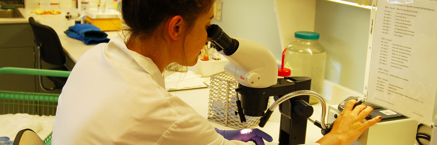 woman in lab examining samples
